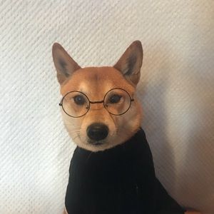 Meet your Posher, Ashton